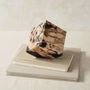 Online Designer Living Room Petrified Wood Cube