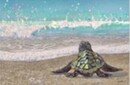 Online Designer Bedroom Baby Sea Turtle Wall Art