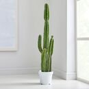 Online Designer Combined Living/Dining Faux Potted Cactus Plant
