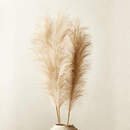 Online Designer Combined Living/Dining FAUX PAMPAS GRASS TAUPE STEM 39