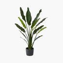 Online Designer Combined Living/Dining POTTED FAUX BIRD OF PARADISE 6'
