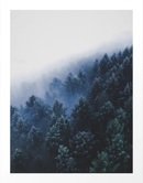 Online Designer Combined Living/Dining Foggy Blue Purple Mountain hill Pine Trees Landscape Nature