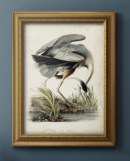Online Designer Bedroom Great Blue Heron Framed On Canvas Painting