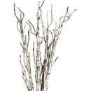 Online Designer Living Room Paper Twig Branches, Set of 4