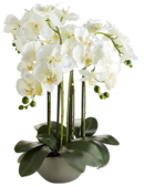 Online Designer Combined Living/Dining Faux Oversized Orchid Arrangement