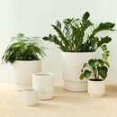 Online Designer Home/Small Office Fluted Planters,
