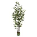 Online Designer Dining Room Dany Artificial Bamboo Tree in Planter