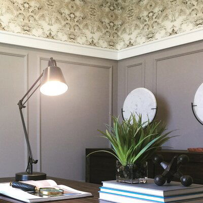 Online design Transitional Home/Small Office by Tera S. thumbnail