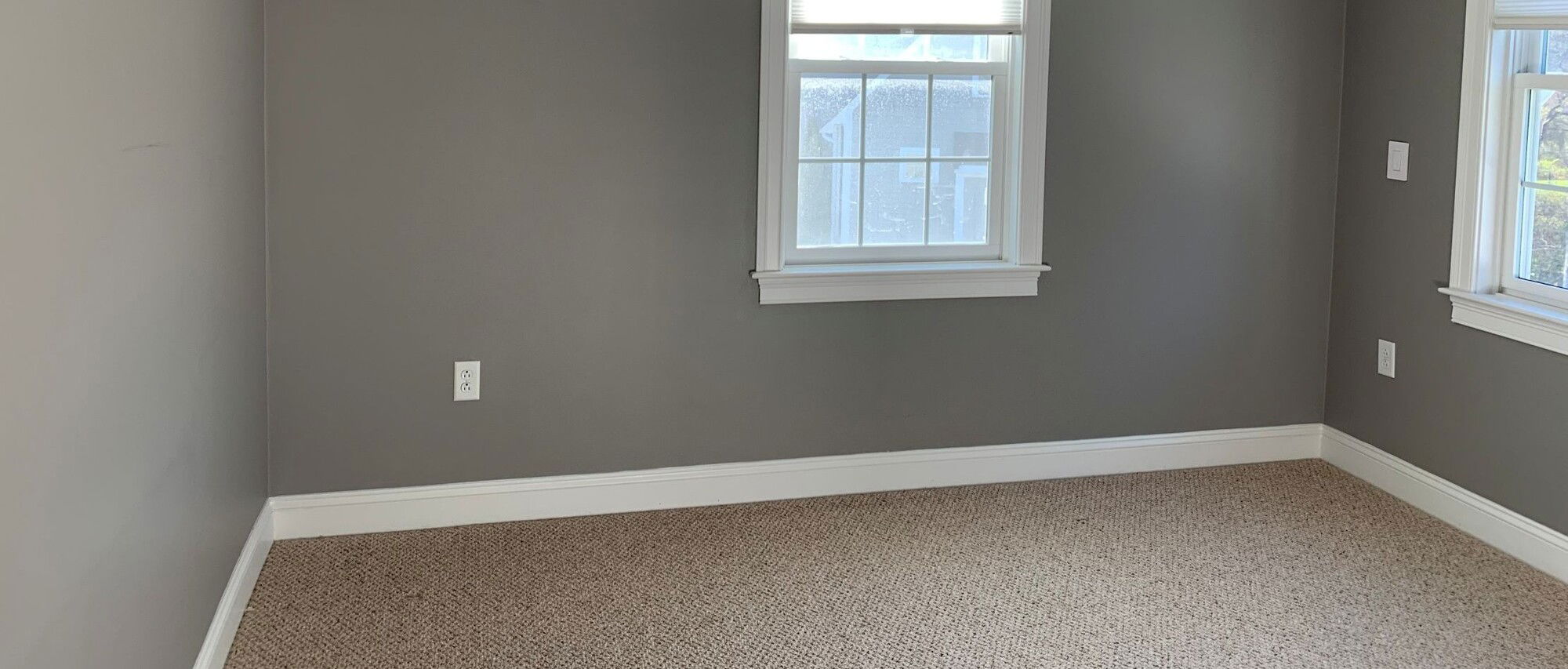Neutral Safari Themed Nursery- Before Photo