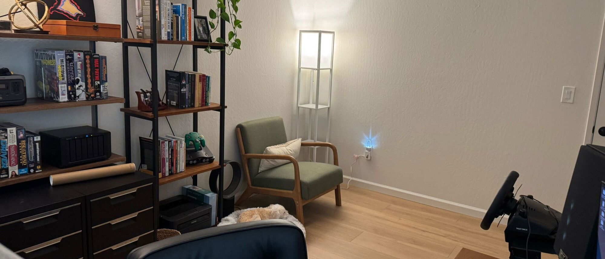 Elegant Dark Home Office with Modern Details- Before Photo
