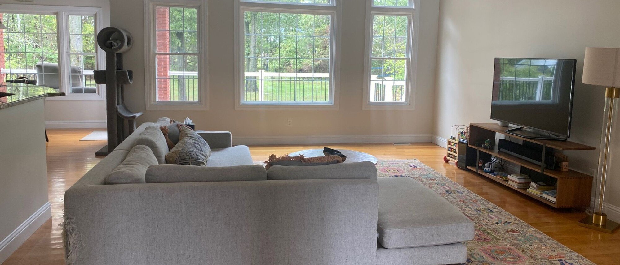 Sophisticated Modern Transitional Home Design- Before Photo