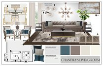 Transitional Living Room with Stone Fireplace Casey H. Moodboard 1 thumb
