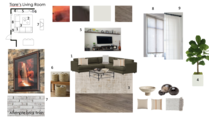 Contemporary Stone Fireplace Living Room Theresa G. Moodboard 2 thumb