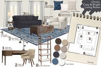 Comfortable Transitional living Room Design Rachel W. Moodboard 1 thumb