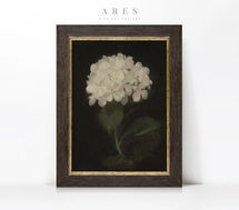 Online Designer Living Room Vintage Art Prints Framed, Vintage Hydrangea Art Print
