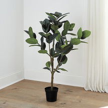 Online Designer Living Room Faux Rubber Tree