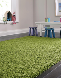 Online Designer Other Angeline Machine Woven / Power Loomed Performance Grass Green Rug