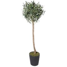 Online Designer Living Room 39" Artificial Olive Tree in Pot