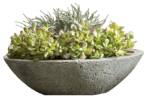 Online Designer Patio Amelie Planter