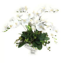 Online Designer Dining Room Orchids Floral Arrangement in Decorative Vase