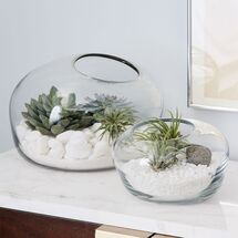 Online Designer Home/Small Office Organic Form Terrariums