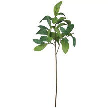 Online Designer Living Room Large Salal Stem Lemon Leaf Branch