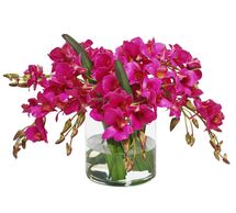 Online Designer Living Room Faux Dendrobium in Cylinder Vase