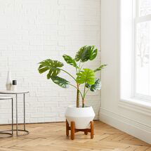 Online Designer Nursery Faux Potted Monstera & Small Ilya Floor Planter, Bundle