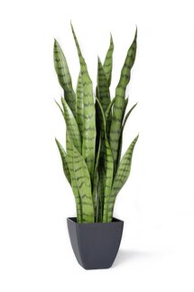 Online Designer Living Room 28" Artificial Snake plant Plant in Pot