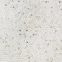 Online Designer Bathroom Alaska White 3/4" Penny round Polished Mosaic Tile