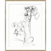 Online Designer Living Room ORCHID STUDIES' FRAMED DRAWING PRINT