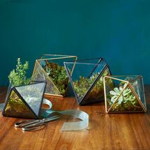 Online Designer Living Room Faceted Terrariums