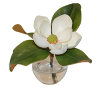 Online Designer Living Room 11" Magnolia in Vase, Faux