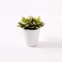 Online Designer Bedroom Faux Succulent - Echeveria