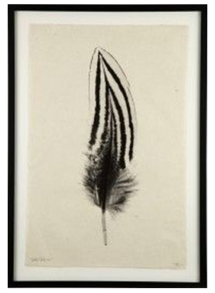 Online Designer Living Room Feather Print