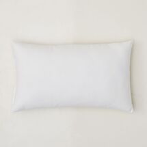 Online Designer Combined Living/Dining Decorative Pillow Inserts