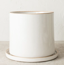 Online Designer Combined Living/Dining Convivial Minimal Stoneware Planters