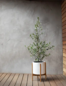 Online Designer Bedroom Olive Bush