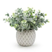 Online Designer Other 8'' Artificial Eucalyptus Plant in Pot