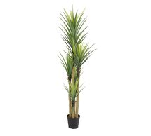 Online Designer Bedroom Tri-Stalk Dracaena Faux Plant, 7'