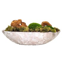 Online Designer Hallway/Entry Mix of Moss Grass in Planter