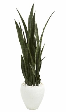 Online Designer Home/Small Office 51" Artificial Snake Plant in Planter