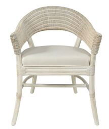 Online Designer Combined Living/Dining Samba Armchair