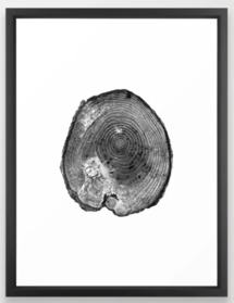 Online Designer Living Room Pine Log Framed Wall Art