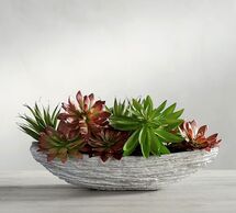 Online Designer Combined Living/Dining FAUX SUCCULENT COMPOSED ARRANGEMENT