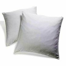 Online Designer Other Indoor Cotton Pillow Insert (Set of 2)