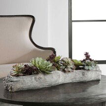 Online Designer Home/Small Office CHARITA SUCCULENTS