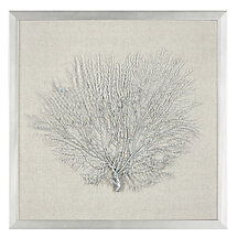 Online Designer Living Room Silver Sea Fan Shadowbox