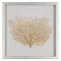 Online Designer Living Room Gold Sea Fan Shadowbox