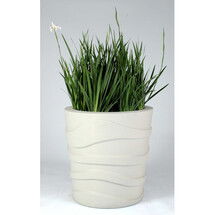 Online Designer Living Room Wave Round Planter